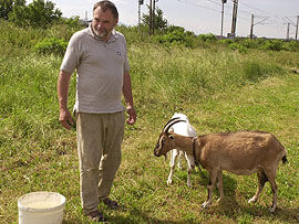 Správca kempu a kozy